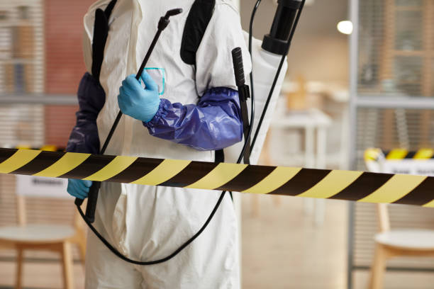 Professional Sewage Cleanup technician working in Mapleton, IA